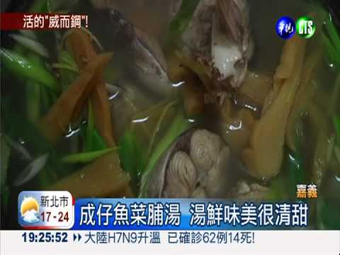 魚類威而鋼! 成仔魚好吃又便宜