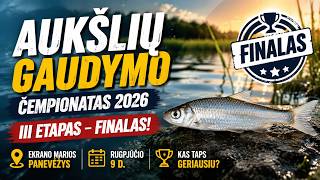 🎣 Aukšlių gaudymo čempionato III turas | Rugpjūčio 9 d. | Ekrano marios