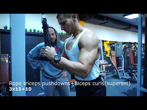 Biceps & Triceps Gym Workout
