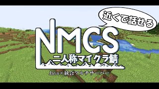 【NNSマイクラ鯖】近くで話せるマイクラ鯖Canta視点part1【Live】
