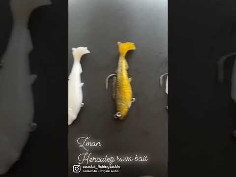 Zman Herculuz 4/5” swim baits now in stocks .. #shorefishing #shorejigging #fishing #zmanfishing