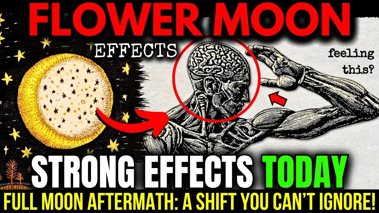 POST-Flower Moon Symptoms: What’s Happening To Your Body Right Now! 13 MAY 2025