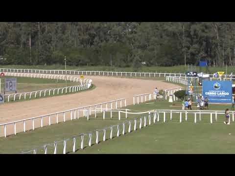 CARRERAS SINT MELO 17/01/26 I EN VIVO I URUGUAY