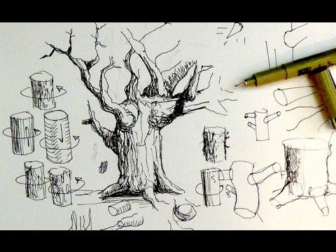 Pen & Ink Drawing Tutorials | How to draw tree trunks & branches