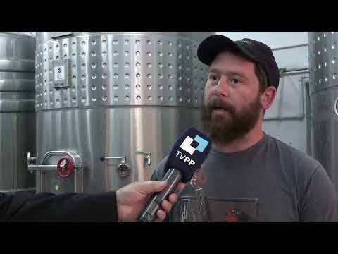 Inversión provincial: Duval suma 267 hectáreas a su zona productiva bajo riego