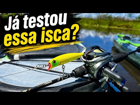 🔥 ISCA BRAVA 77 FEZ A DIFERENÇA! Muitos Ataques no Rio São Francisco! 🎣🐟
