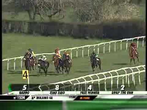 10/04/2013, Milano , Premio Dairago C.naz.