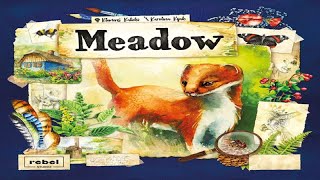 Meadow Runthrough