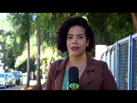 Mato Grosso do Sul: área disponível para colheita de cana-de-açúcar cresce 3%