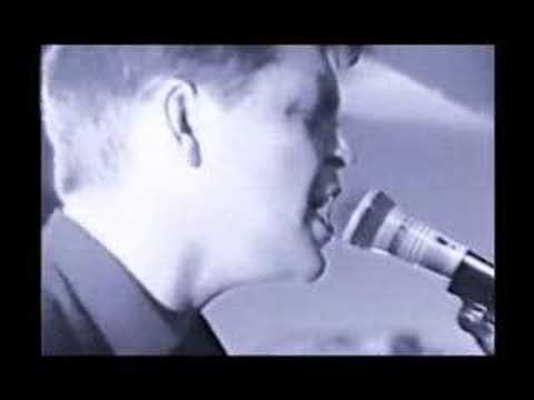 The Fact - Spear of the Nation