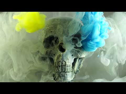 NAREK METS HAYQ - DIALOG / 2020