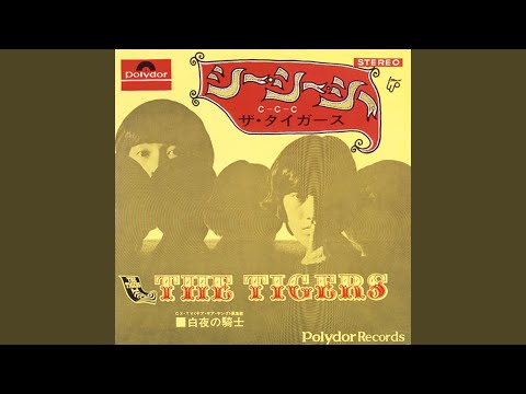 シーシーシー のサムネイル