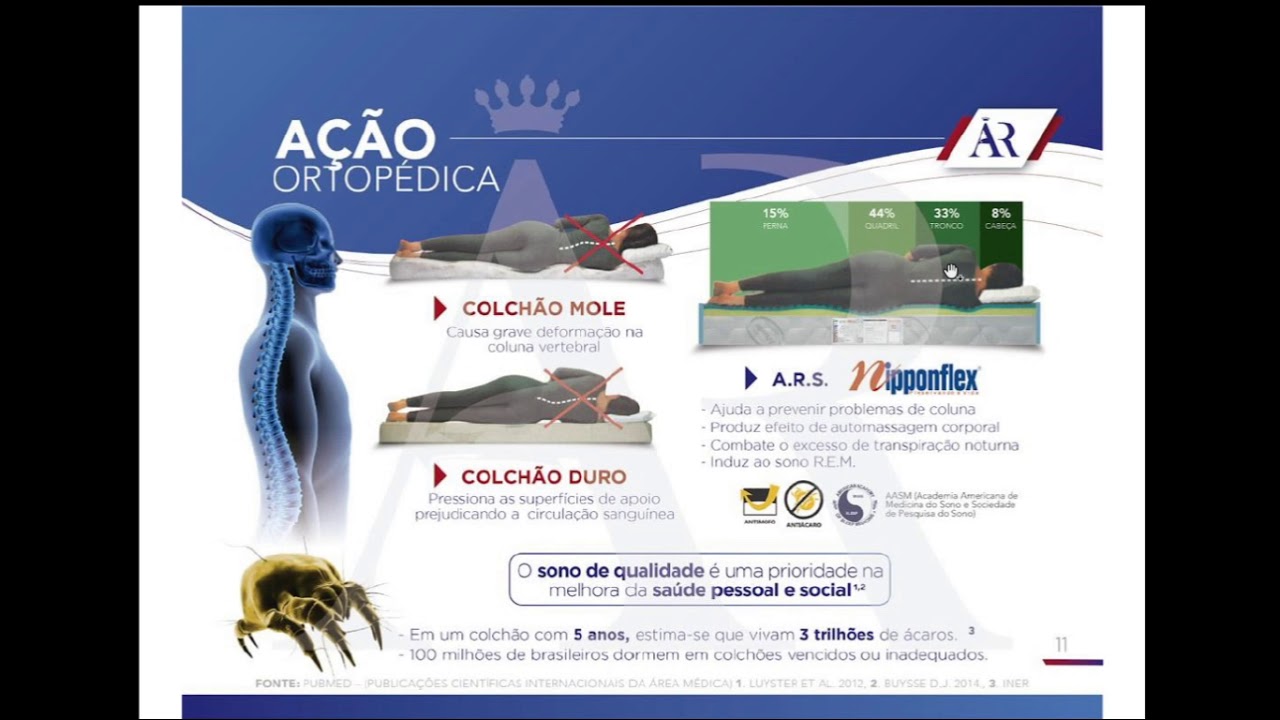 Continuação dos estudos de pasta Nipponflex