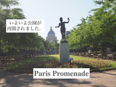 [Paris] Jardins de Luxemburgo na manhã do primeiro dia em que o parque reabriu Le premier jour de déconfinement du Jardin du Luxembourg