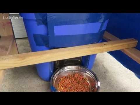 Raccoon Proof Feral Cat Feeder Update