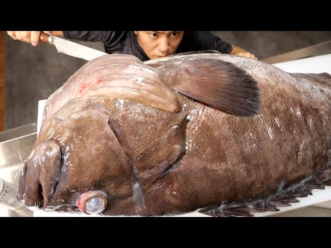 深海300mから上がった怪魚を捌いてみた