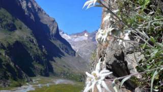 Andre Rieu   "Edelweiss, Edelweiss" w/ Andre Rieu at The London Palladium (HD)