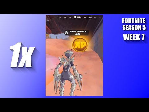 Gold XP Coin Location Week 7 | Fortnite Season 5