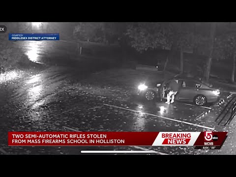 Suspects steal semi-automatic guns from Holliston store