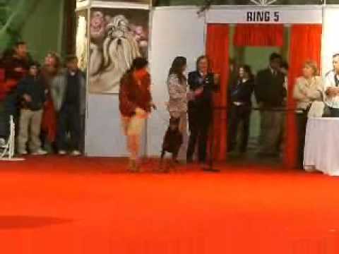 Yinx video Res BIS Copa Confraternidad FCA Jean Fournier 2006