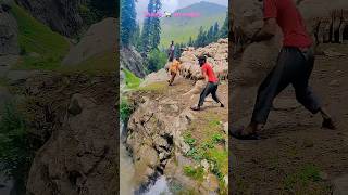 Download lagu sheep on water 🐑🐏🌊 in Jammu and kashmir bakarwal  #sheep #shorts #viral#minivlog #nature#farmer mp3