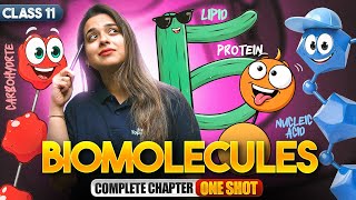 Biomolecules Class 11 One Shot | NCERT Biology Full Chapter-9 Explanation | CBSE 2024-25