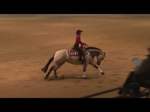 200222 Non Pro Kelsey Price on Hail Of A Princess