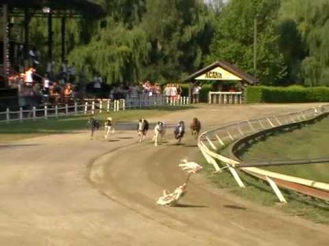 Federation Sprint & Trophy - semifinals 7. 7. 2012 race 6