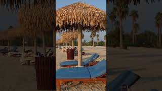 Banana y Maldivas en el desierto: el paraíso escondido frente a los ojos de la Copa del Mundo