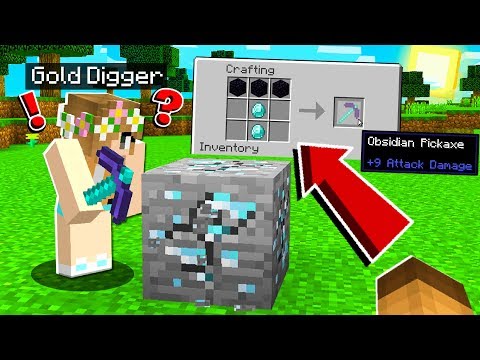 I Made GOLD DIGGER Use the CURSED Texture Pack in Minecraft!