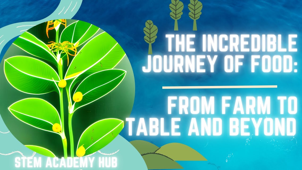The Incredible Journey of Food: From Farm to Table and Beyond!