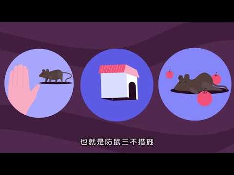 防鼠三不，不讓漢他與鼠趴趴走