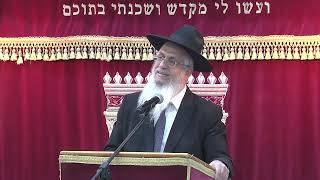 029רוממות התפילה פתיחה לפסוקי דזמרא (הרב יורם סרי) - התמונה מוצגת ישירות מתוך אתר האינטרנט יוטיוב. זכויות היוצרים בתמונה שייכות ליוצרה. קישור קרדיט למקור התוכן נמצא בתוך דף הסרטון