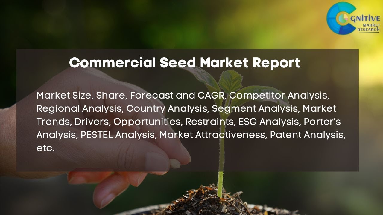 Commercial Seed  Market Insights