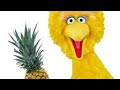 Sesame Street Big Bird Pinguim