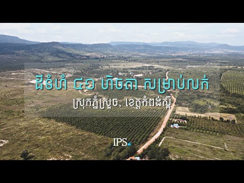 41 Ha Land For Sale - Traeng Trayueng, Kampong Speu thumbnail