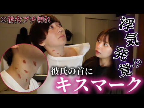 犬は嫉妬を感じますか?