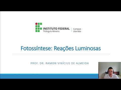 Fisiologia Vegetal - Fotossíntese:  Reações Luminosas.