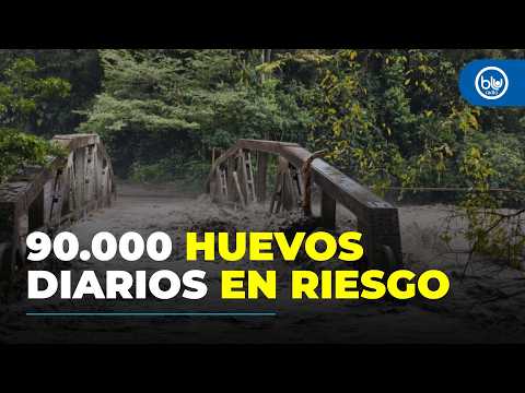 1.800 personas incomunicadas en Guayabetal: construirán teleférico tras caída de puente