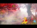 Beautiful Nature Shorts Dil Kehta Hai Cl Unse Mil
