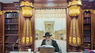 הרב מאיר דוד שמואלי - הלכות שבת סימן רנ"ז סעיף א - ז