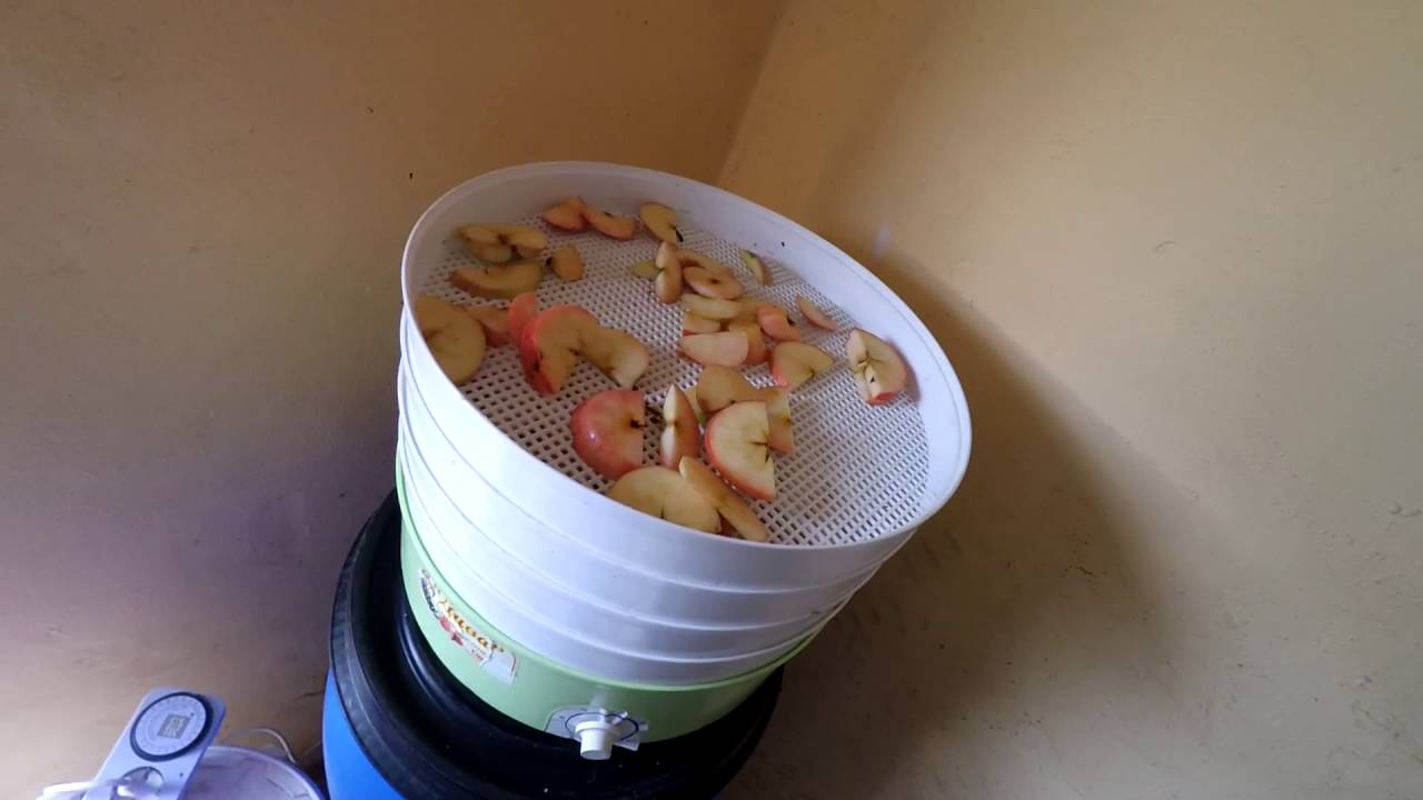 Сушка для фруктов и овощей Ротор Дива СШ-007-06 3под. 520Вт белый