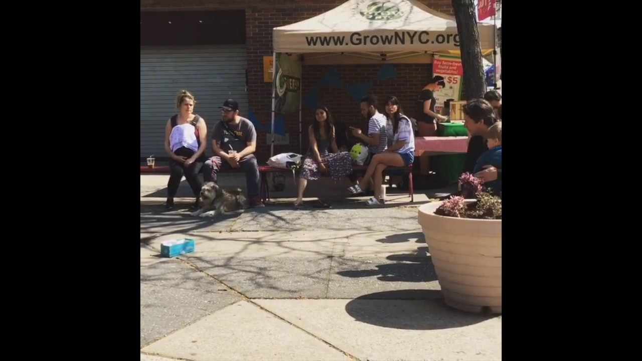 Promotional video thumbnail 1 for Hammer 'N Fiddle