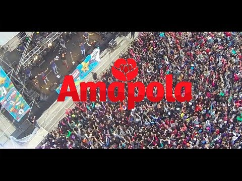 Arrepiéntete - Amapola Cumbia