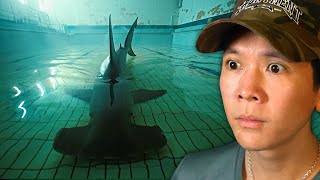 I Have To Survive This HORRIFYING POOL ROOM