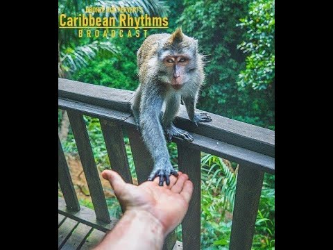 Caribbean Rhythms with BAP - Episode 13 - Celine, Junger, Mishima