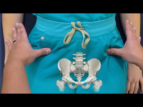 Pelvis & Sacrum Palpatory Landmarks for Physical Examination and Osteopathic Structural Exam