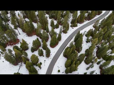 Alturas Mountains | California Pines 4K