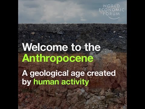 Welcome to the Anthropocene - A geological age created by human activity