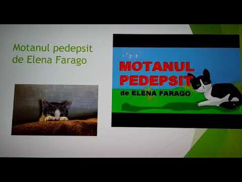 Motanul pedepsit, de Elena Farago